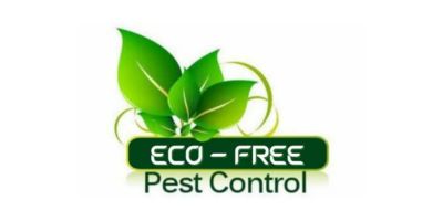 xr:d:DAF6E0Is3sA:20,j:3524482413891816327,t:24011620