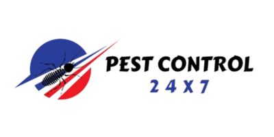 xr:d:DAF6E0Is3sA:20,j:3524482413891816327,t:24011620